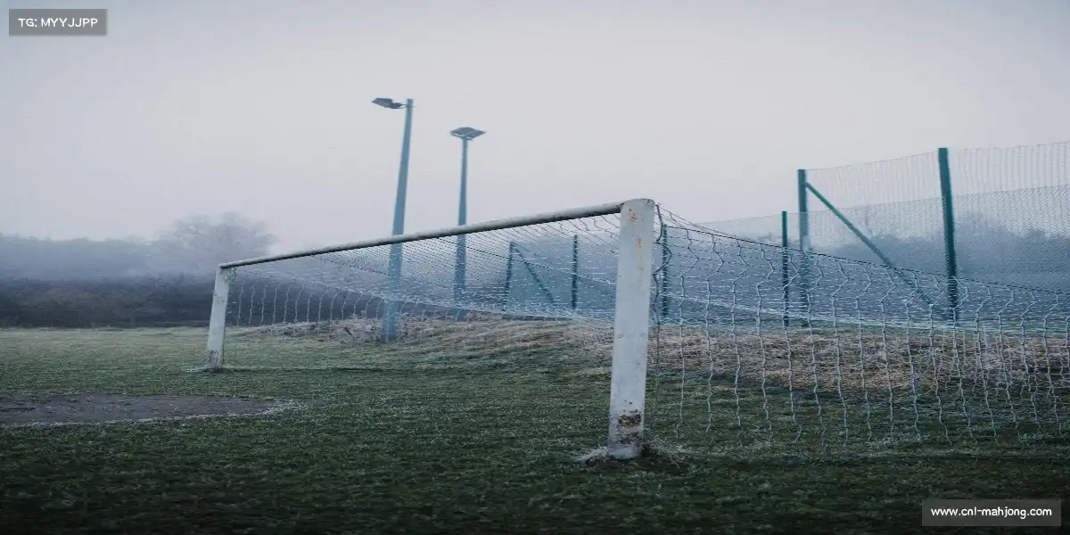 PG麻将胡了app——奋力一搏，闪耀光芒！🦾 🎉